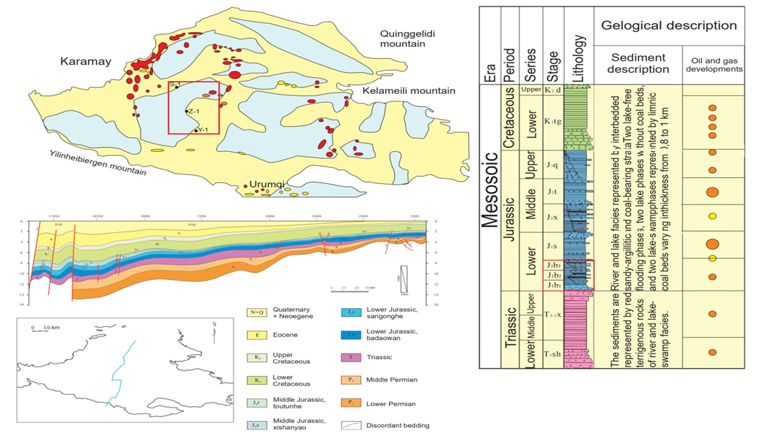 Potential of High-Carbon Domanik (Upper Devonian) Shale Deposits: Timan-Pechora Oil and Gas Province Assessment 