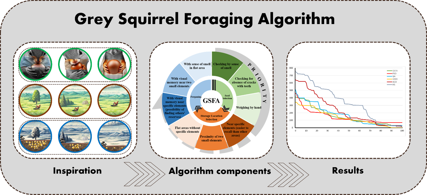Gray Squirrel Foraging Algorithm for Function Optimization