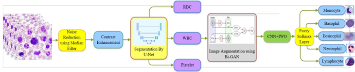 A Hybrid Invasive Weed Optimization - Convolutional Neural Network and Bidirectional Generative Adversarial Network for White Blood Cell Image Segmentation and Classification in Leukemia Analysis