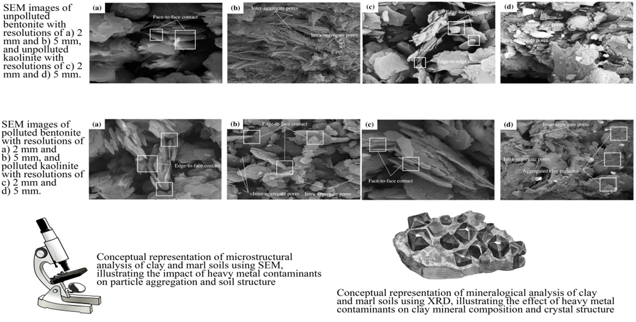 Impact of Heavy Metals on Geotechnical and Microstructural Properties of Soils