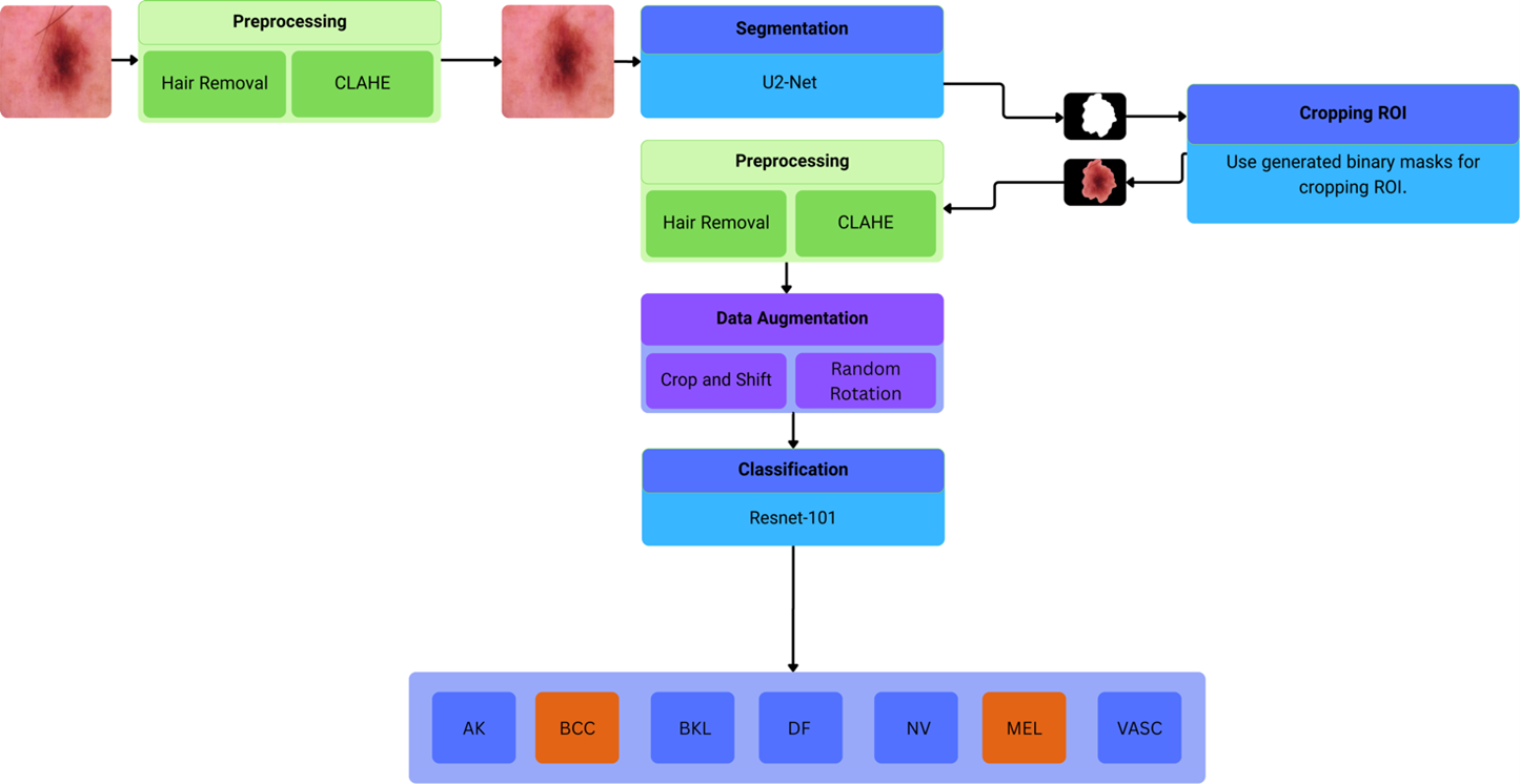 A Two-stage Model for Skin Cancer Detection Using Convolutional Neural Networks